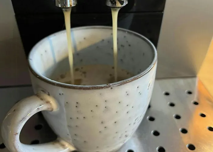 Sleep Under The Stars Near Brunsnaes Broager