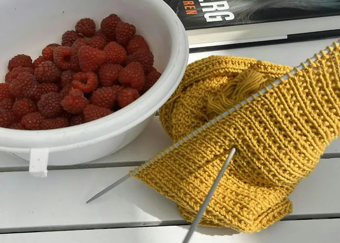 Sleep Under The Stars Near Brunsnaes * Broager