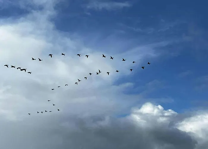 Nyaraló Sleep Under The Stars Near Brunsnaes