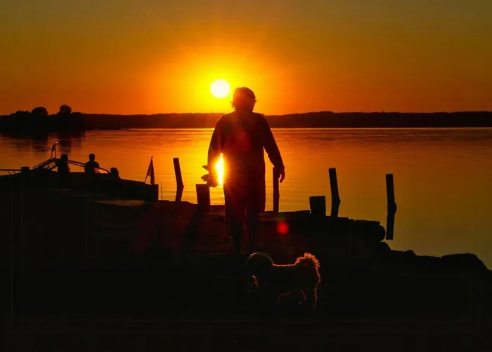 Sleep Under The Stars Near Brunsnaes Broager